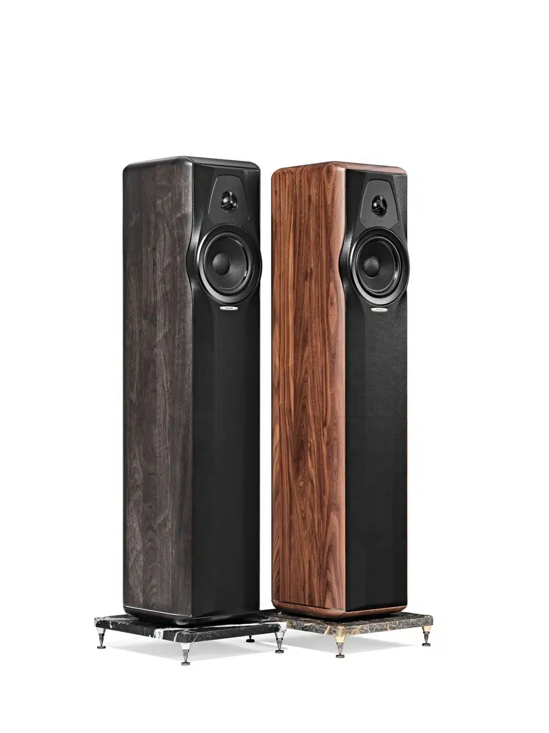 SF-Maxima-Amator-graphite-walnuss