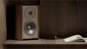 Dynaudio The Bookshelf front smokedoak