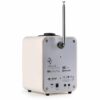 Ruark R1 Bluetooth Radio Creme Rückseite