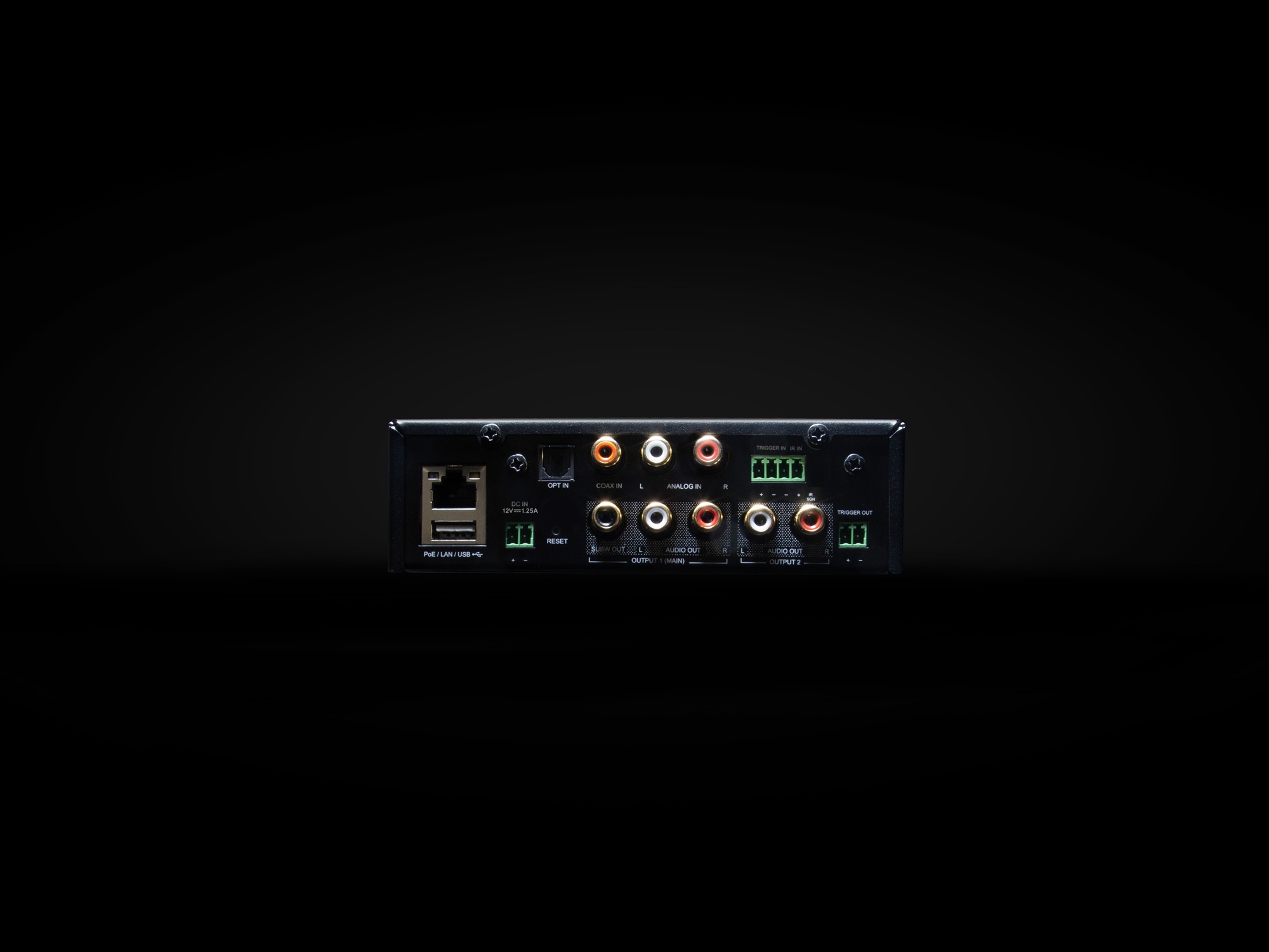 CI-S1-back NAD-CI-S1-back