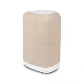 Bluesound PULSE FLEX (P130)