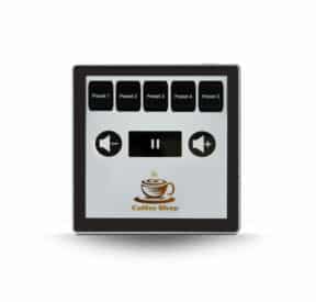 Bluesound Professional CP200