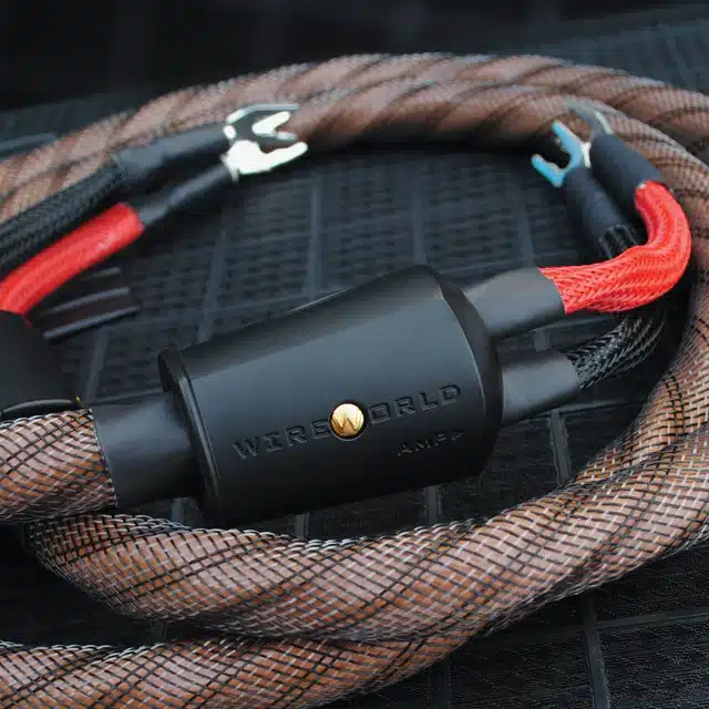 Wireworld Eclipse 10 Speaker Cable Lifestyle