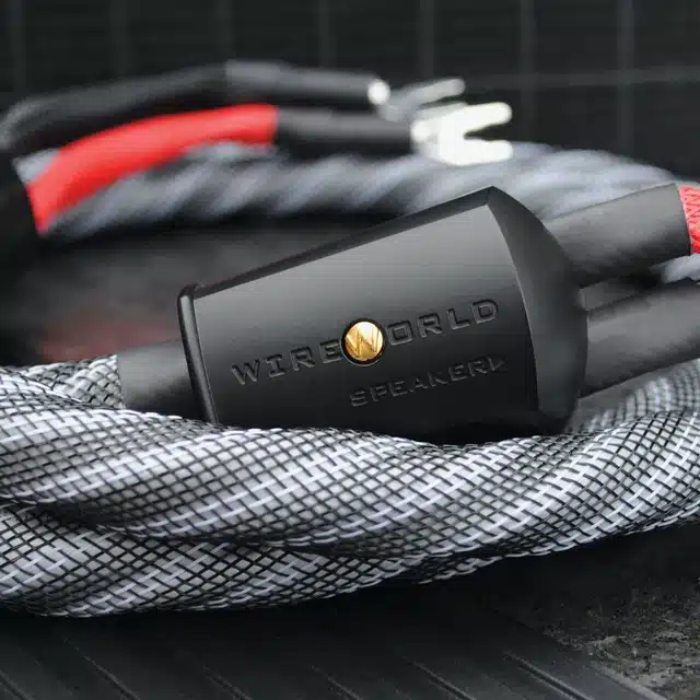 Wireworld Platinum Eclipse 10 speaker cable lifestyle