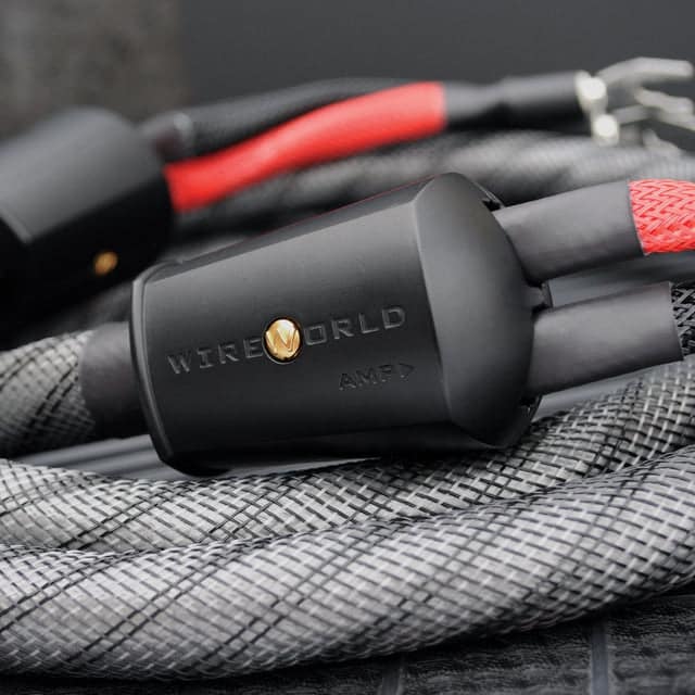 Wireworld Silver Eclipse 10 speaker cable lifestyle