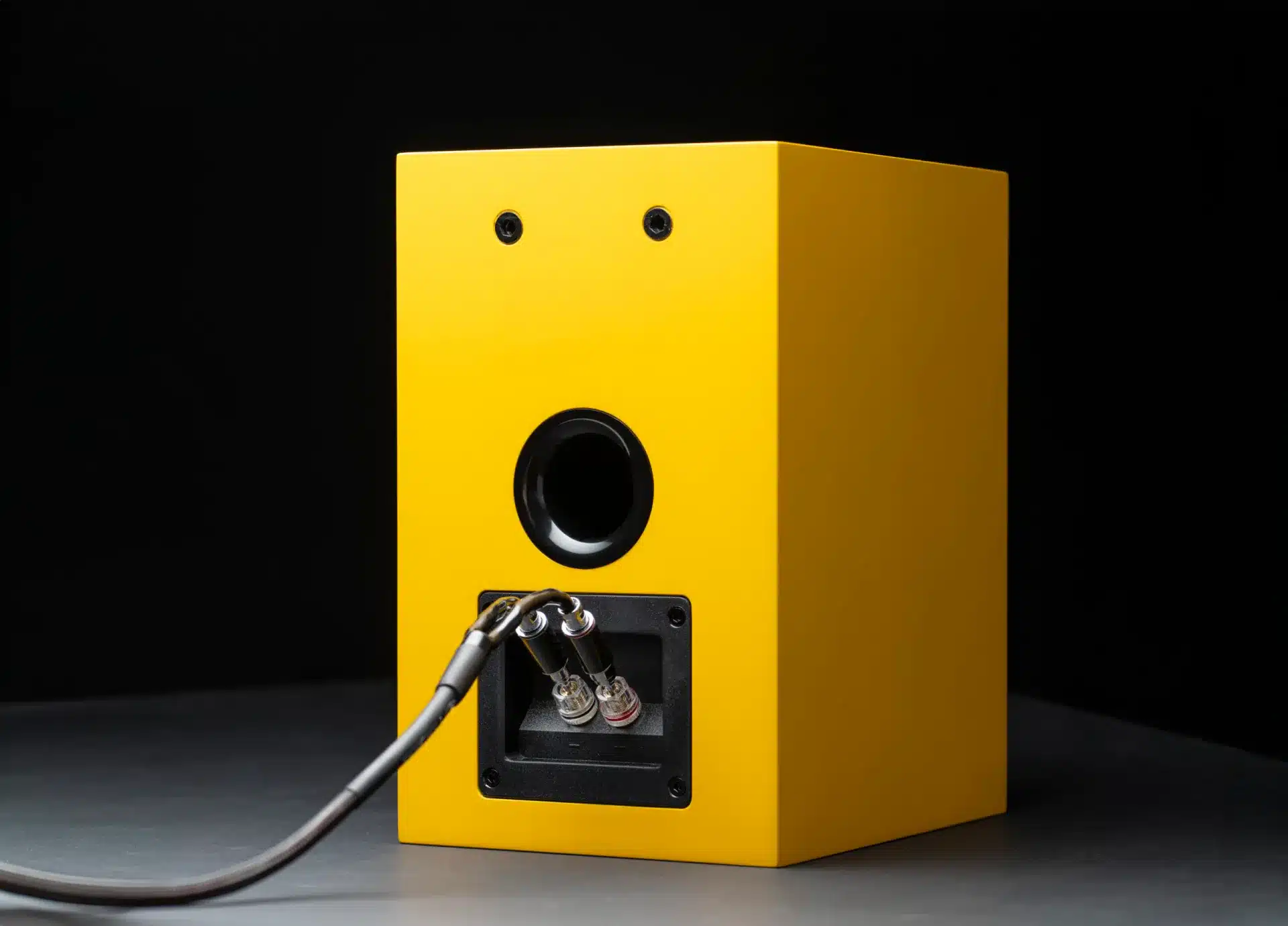 Speaker-Box-5-E-Carbon-detail-back-scaled