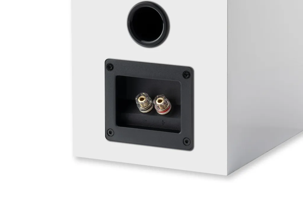 Speaker-Box-5-E-White-detail-terminals