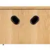 1600x1000_Ruark-Audio_R410Anniversary_bottom