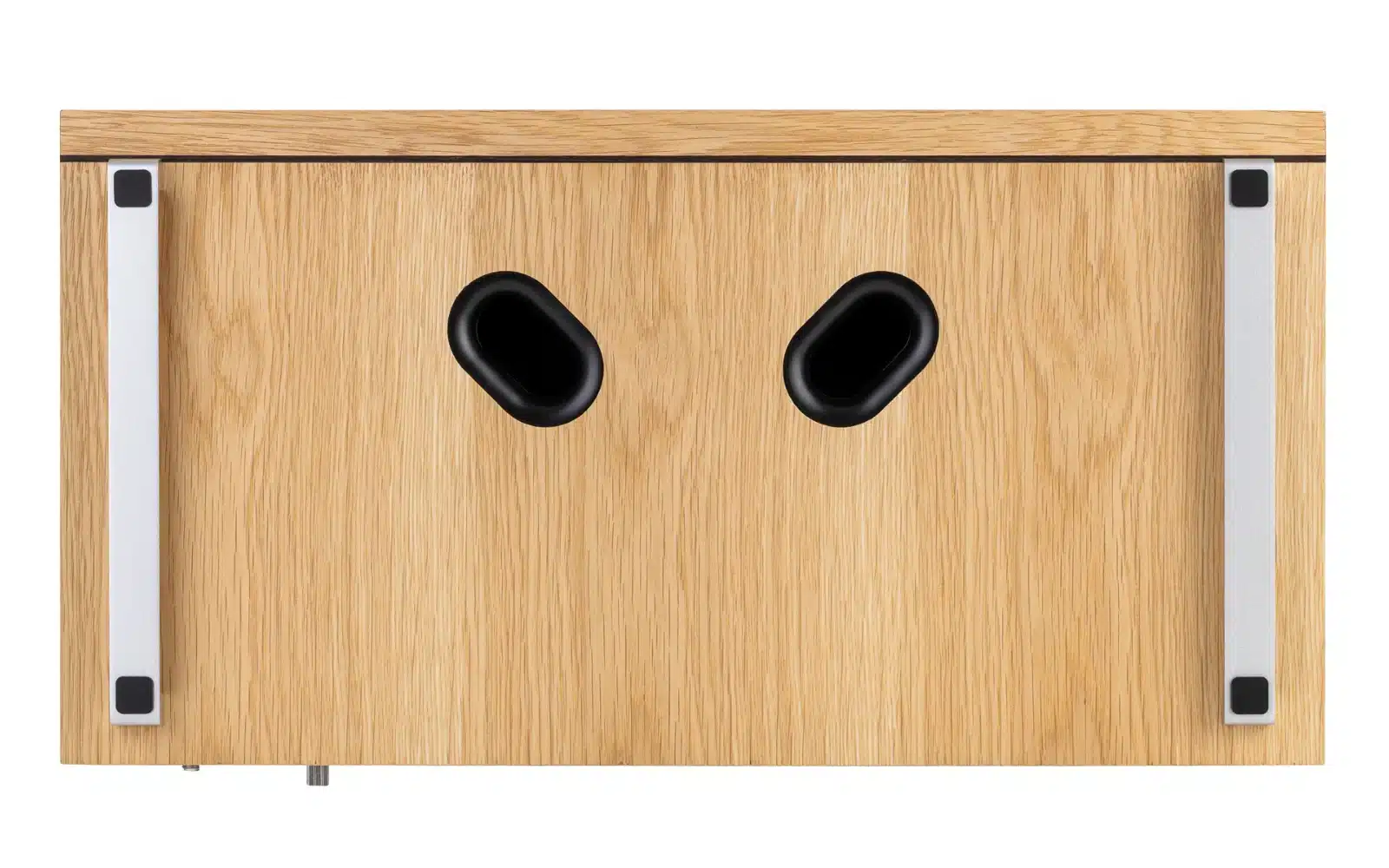 1600x1000_Ruark-Audio_R410Anniversary_bottom