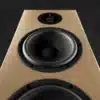 Dexter-Trio-bass